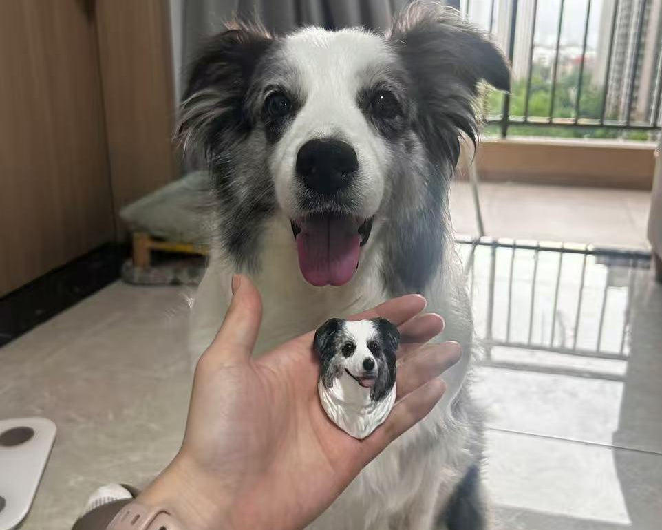 3D printing customized pet refrigerator sticker